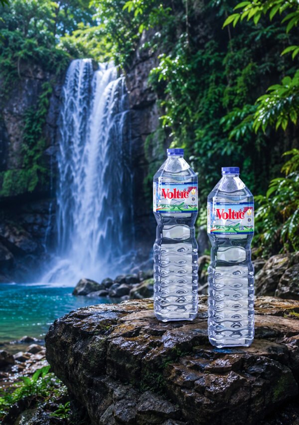 1 Bouteille d’eau minérale 1 L